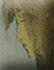 /sites/localhost/