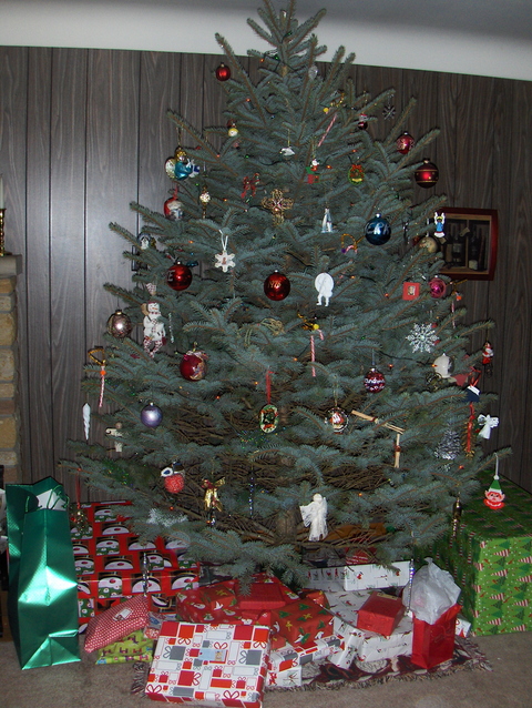 christmas tree 2009