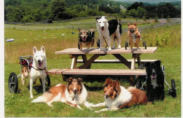/Users/admin/Desk group photo